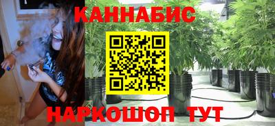 mdpv Можга