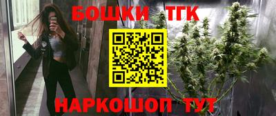 индика Моздок