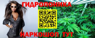 mdpv Можга