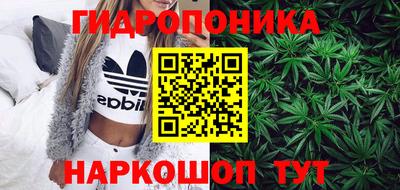 mdpv Можга