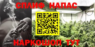 mdpv Можга