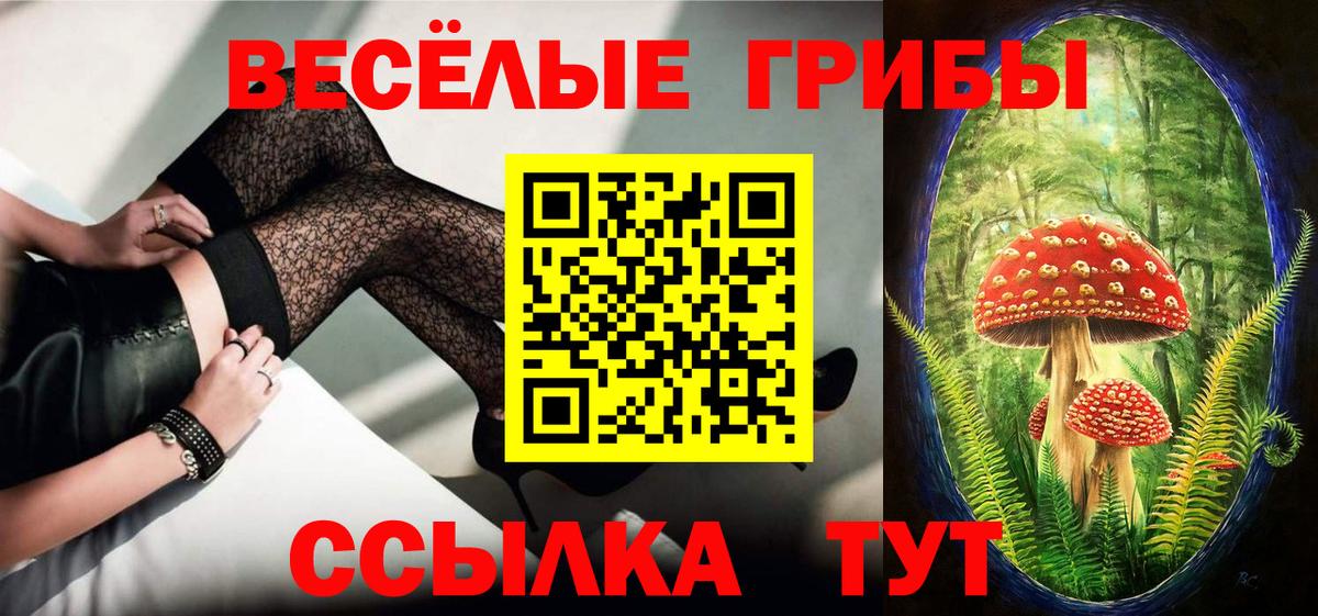 Псилоцибиновые грибы прущие грибы  Вход с VPN  магазин продажи наркотиков  Орск  Псилоцибиновые грибы прущие грибы 